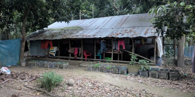 জাহাজে ৭ খুন: বাড়িতে আসতো না আকাশ, যোগাযোগও ছিলনা